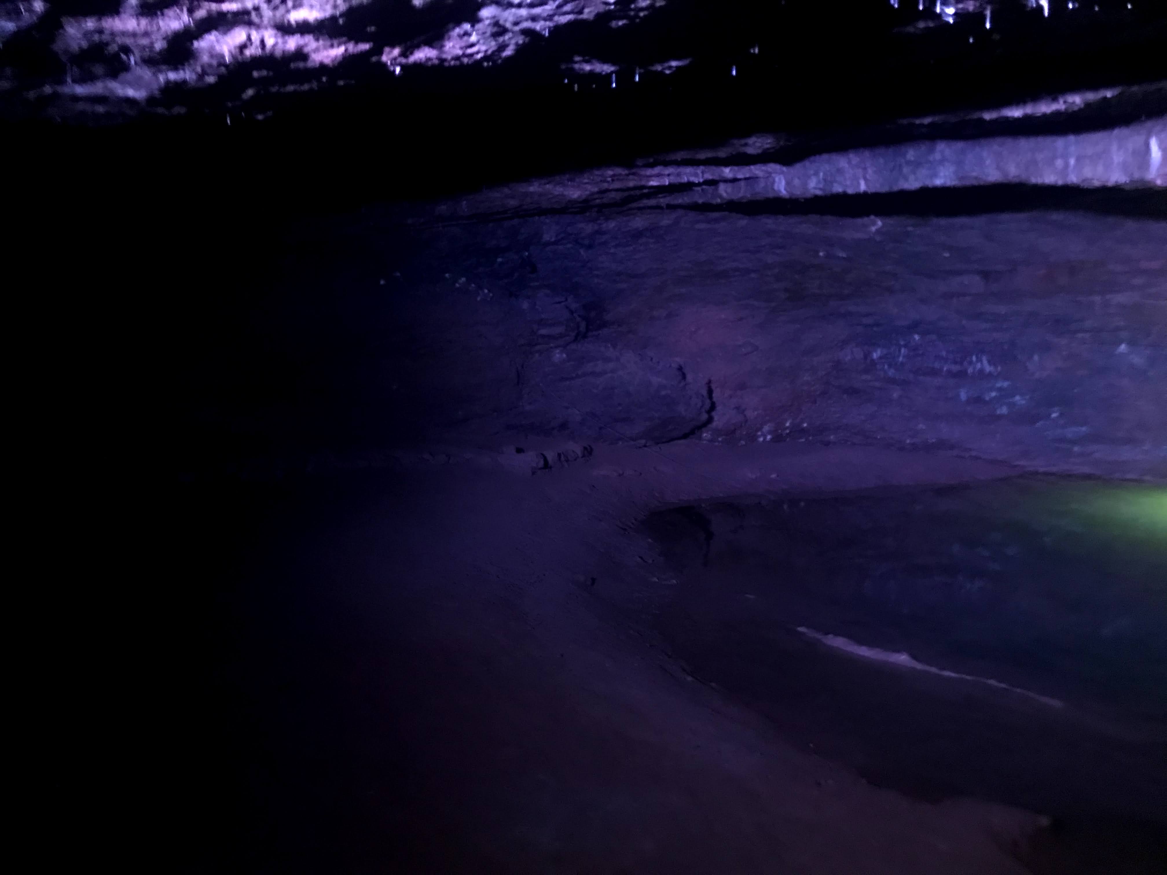 A dark purple cave with a small pond,
